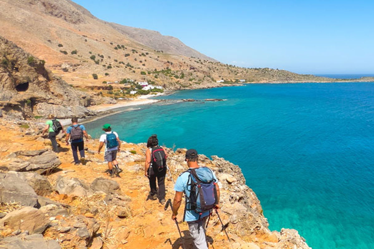 The Observer | Simpson Travel