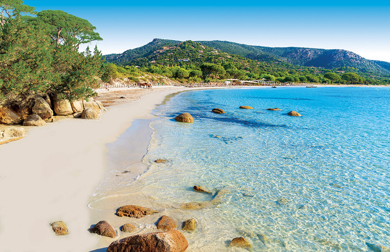 Essential Surrey & SW London | Simpson Travel